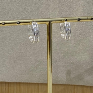 Argola 5 Zircônia