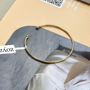 Bracelete Liso Fort