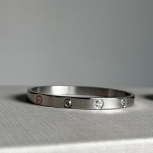 Bracelete Steel com Zircônia