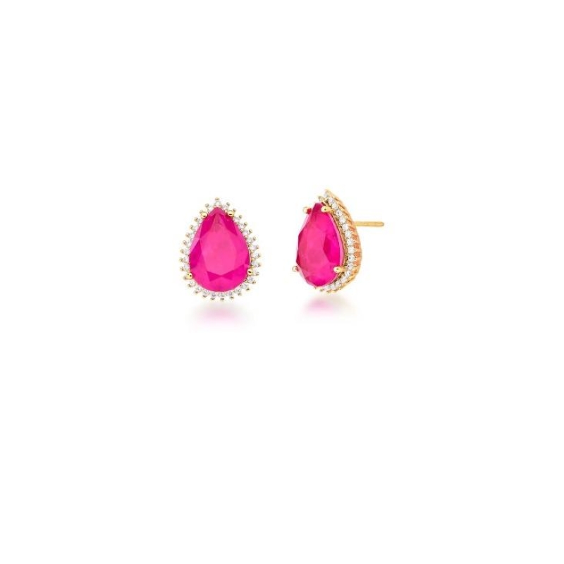 *Brinco Gota Zircônia e Crav. Rosas