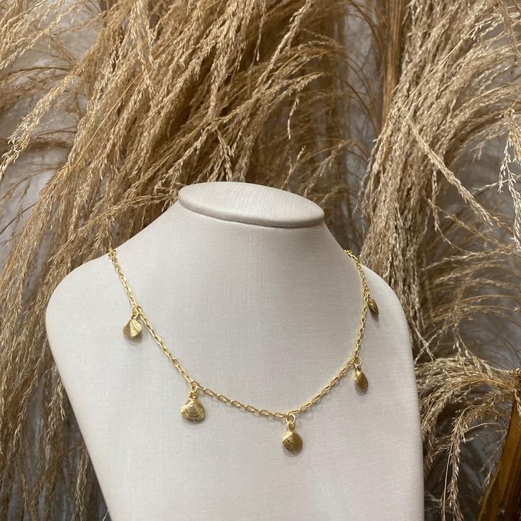 Choker Conchas